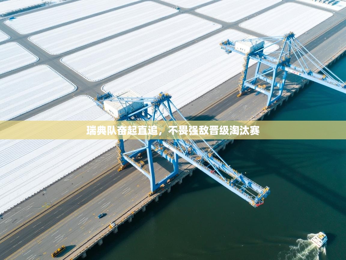 开云体育app登录入口-瑞典队奋起直追，不畏强敌晋级淘汰赛  第1张