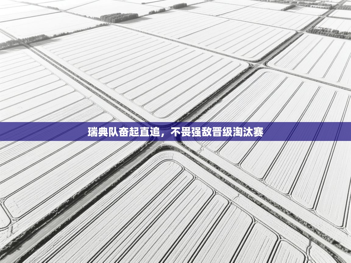 开云体育app登录入口-瑞典队奋起直追，不畏强敌晋级淘汰赛  第3张